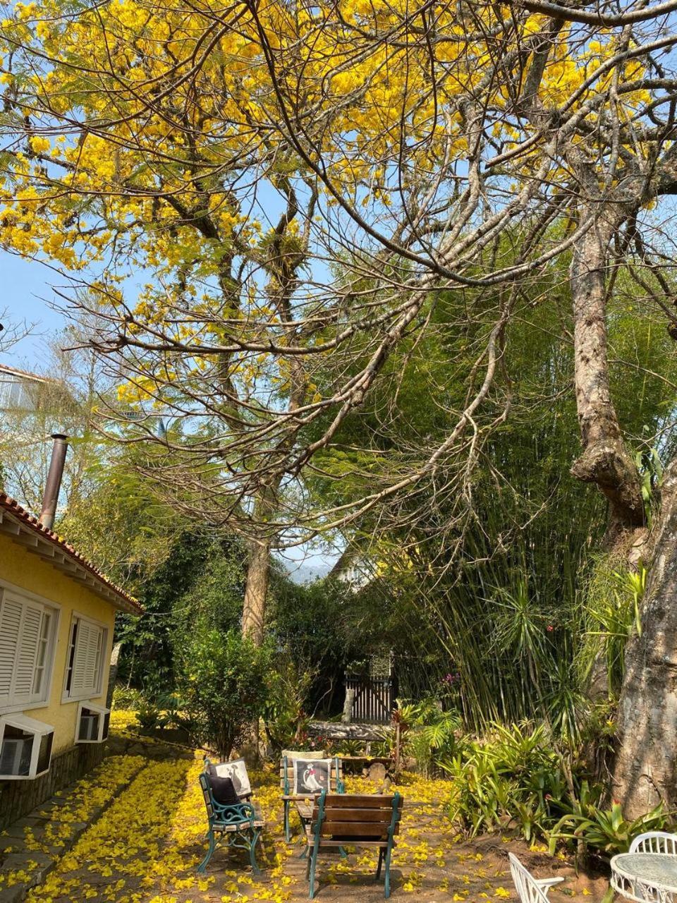 מיגל פריירה Pousada Casa Do Ipe Amarelo מראה חיצוני תמונה
