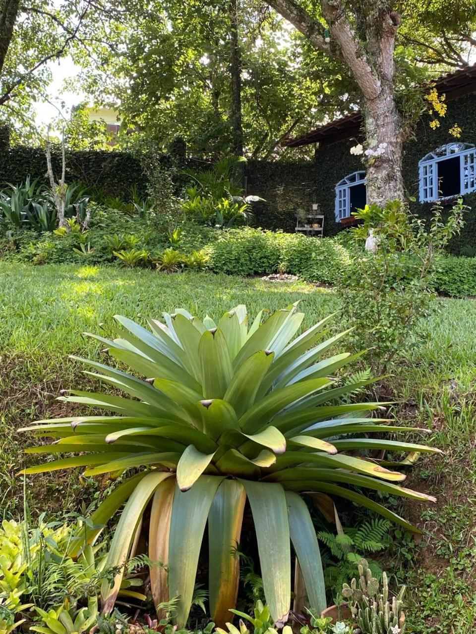 מיגל פריירה Pousada Casa Do Ipe Amarelo מראה חיצוני תמונה