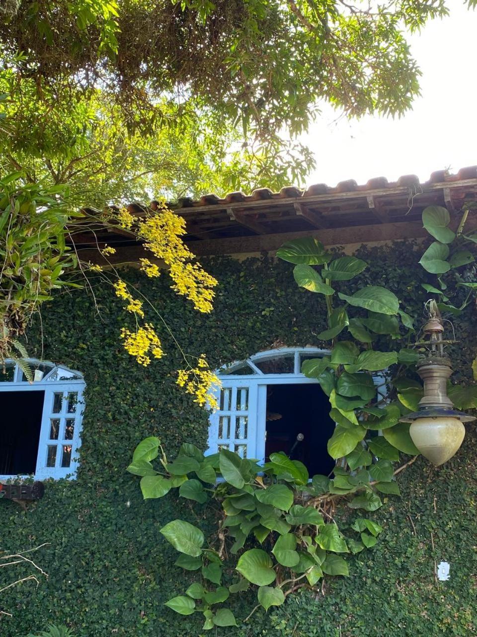 מיגל פריירה Pousada Casa Do Ipe Amarelo מראה חיצוני תמונה