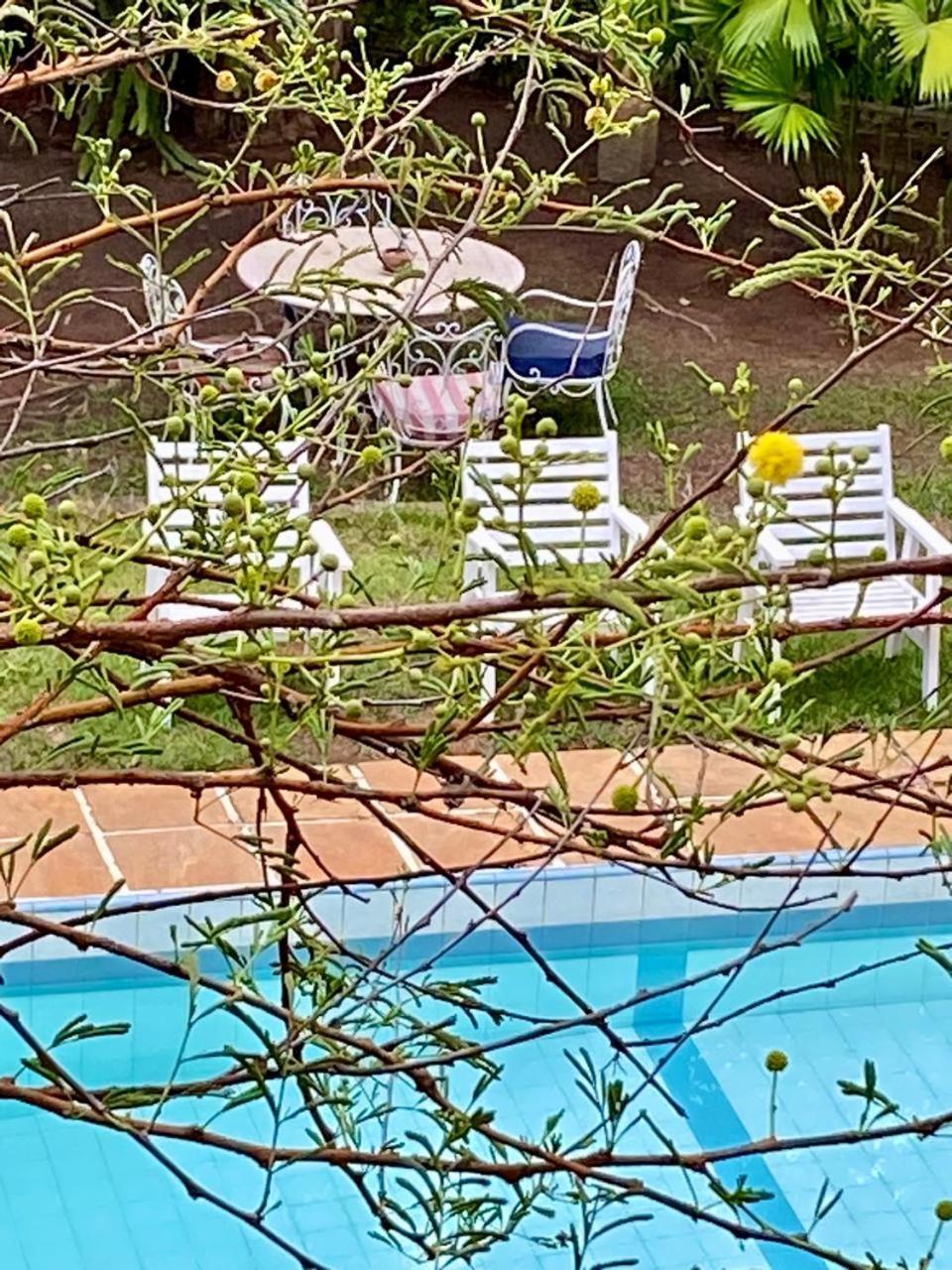 מיגל פריירה Pousada Casa Do Ipe Amarelo מראה חיצוני תמונה